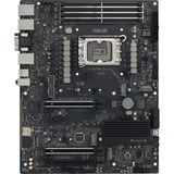 ASUS PRO WS W880-ACE SE, Mainboard 
