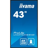 iiyama ProLite LE4341S-B2, Public Display schwarz (glänzend), FullHD, IPS, Mediaplayer