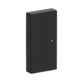 Busch-Jaeger Wippe future linear schwarz, Retail