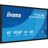 ProLite T4329AS-B1AG, LED-Monitor