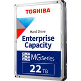 MG11SCA22TE 22 TB, Festplatte