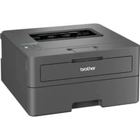 Brother HL-L2400DW, Laserdrucker dunkelgrau, USB, WLAN, Duplex (Druck)