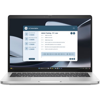 Dell Pro 14 Plus (H82F8), Notebook silber, AMD Ryzen 5 PRO 230, AMD Radeon 760M, 16 GB LPDDR5X, 512 GB (512 GB SSD), Windows 11 Pro