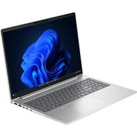 HP EliteBook 6 G2a (E02FWET), Notebook silber, AMD Ryzen 7 PRO 250, AMD Radeon 760M, 16 GB LPDDR5X, 512 GB (512 GB SSD), Windows 11 Pro