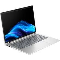 HP ProBook 4 G1a (AD2N0ET), Notebook silber, AMD Ryzen 5 230, AMD Radeon 760M, 16 GB DDR5, 512 GB (512 GB SSD), Windows 11 Pro