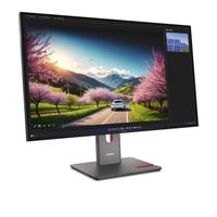 Lenovo ThinkVision P32UD-40, LED-Monitor 80 cm (31.5 Zoll), schwarz, UltraHD/4K, IPS, HDMI, DP, Thunderbolt 4, USB-Hub, 120Hz Panel