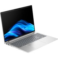 HP ProBook 4 G1iR (AD2P3ET), Notebook silber, Intel® Core™ 7 150U, Intel® Graphics, 16 GB DDR5, 512 GB (512 GB SSD), Windows 11 Pro