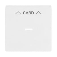 Busch-Jaeger Zentralscheibe für Cardschalter 1792-84 Retail