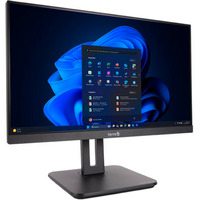 TERRA  ALL-IN-ONE-PC 2420HA V2 GREENLINE, PC-System schwarz, Windows 11 Pro