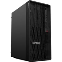 Lenovo ThinkStation P2 Tower Gen 2 (30JQ00CVGE), PC-System schwarz, Windows 11 Pro