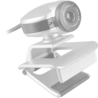 999 Games BRIO 305, Webcam graphit, 1080p
